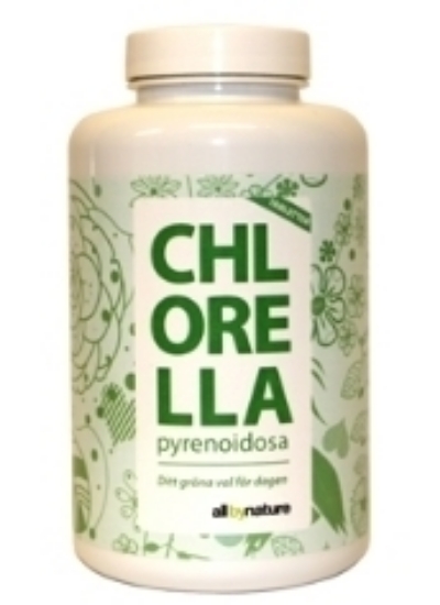 Chlorella Pyrenoidosa Pulver