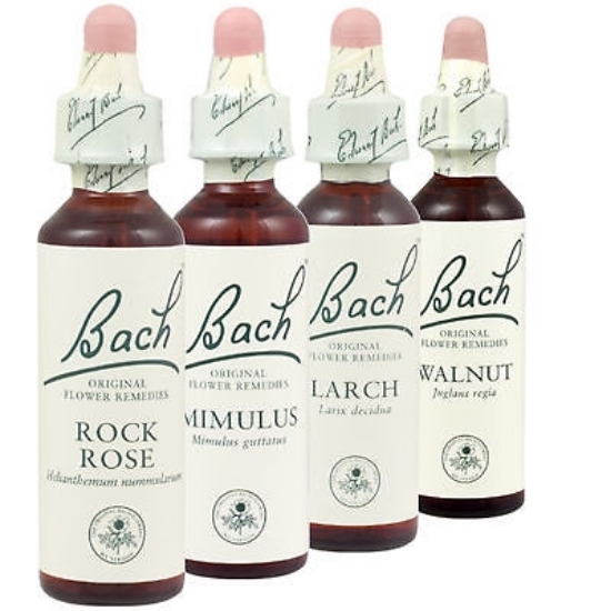 Pine/Furu - Bachs blomstermedisin 20ml Dil