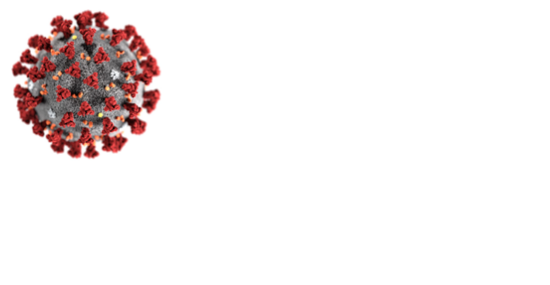 694533.png