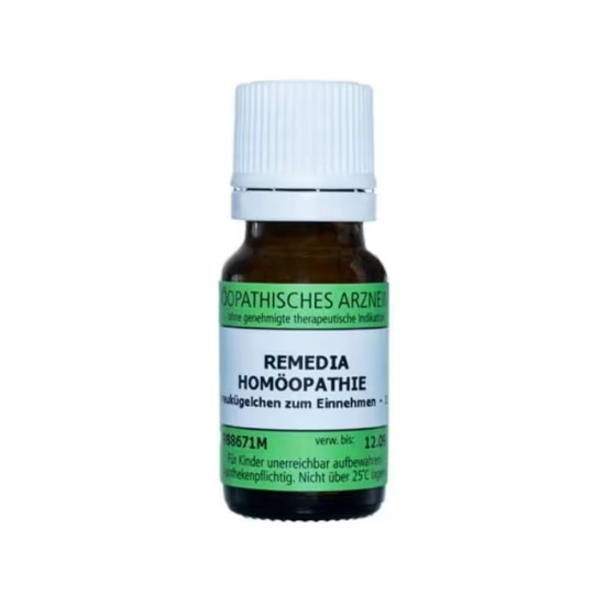 Thuja occidentalis D6, 10g Granuler