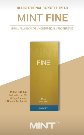 Mint Fine 20stk