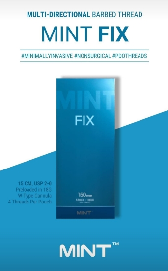 Mint Fix 20 stk