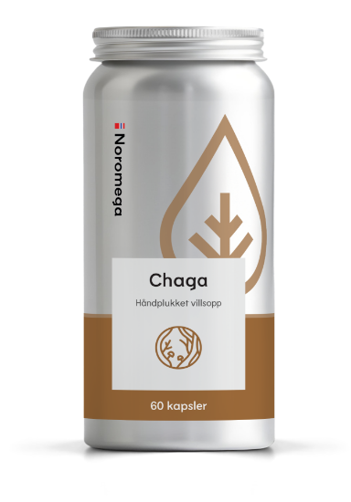 Noromega Chaga 60 Kapsler | Høykonsentrert Chagaekstrakt